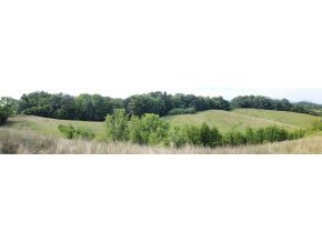 0 Gatewood Road Afton, TN 37616 - Photo 10 of 17 Photo 10