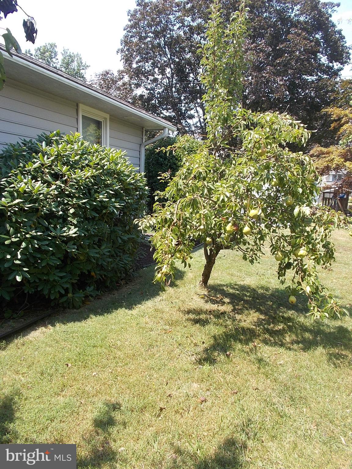 708 Edgewood Road Linthicum, MD 21090 - Photo 5 of 29