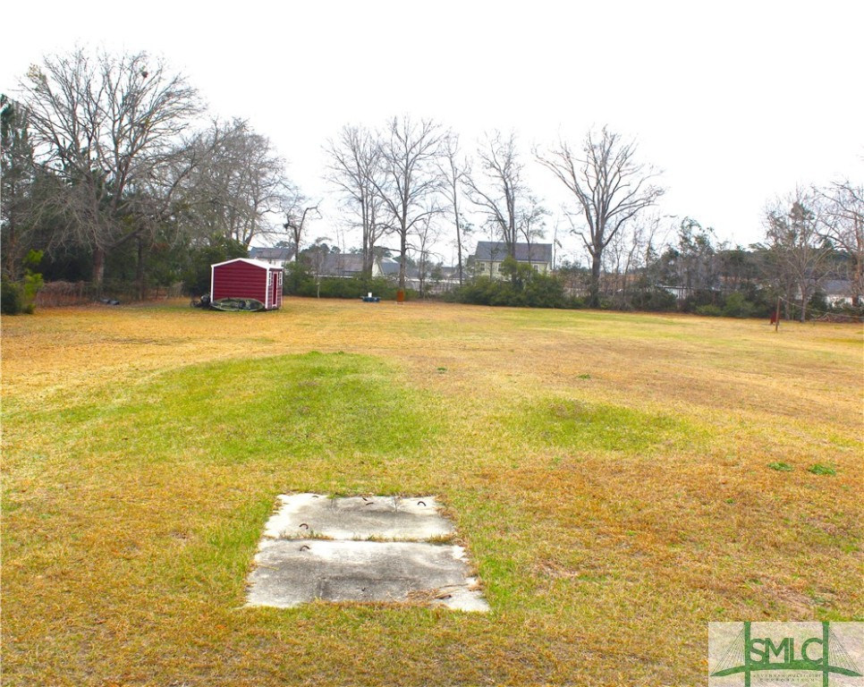 205 Webb Road Springfield, GA 31329 - Photo 33 of 33 Large Backyard