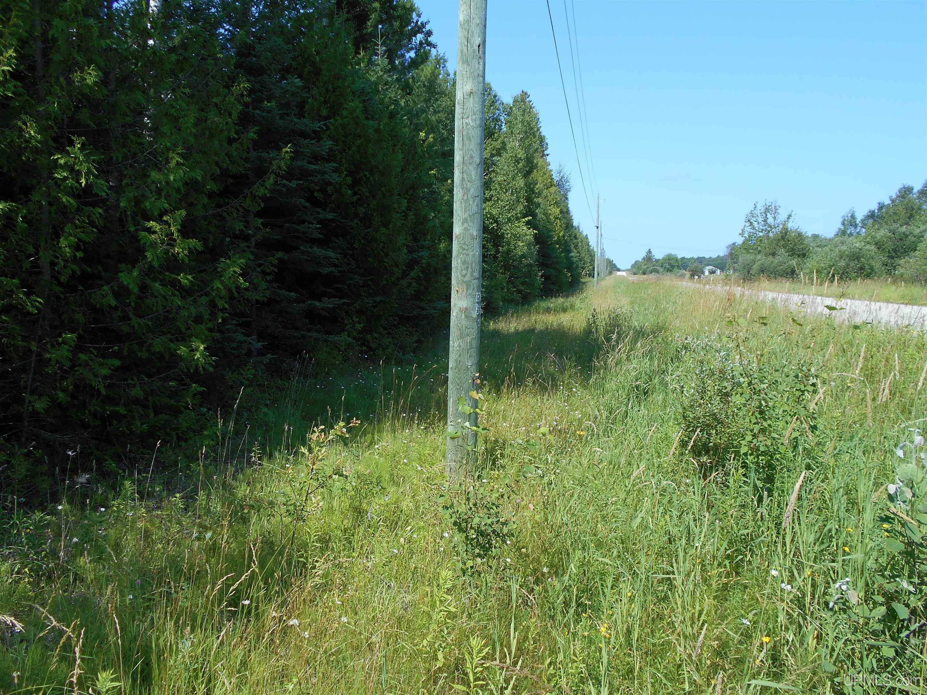 Tbd Lustila Road Germfask, MI 49836 - Photo 12 of 24 Gallery Image 12