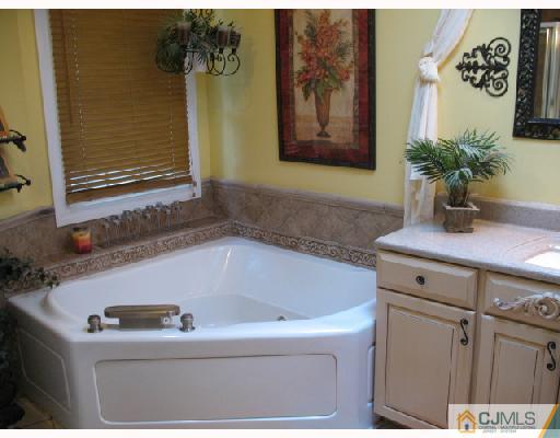 31 Pelham Road Kendall Park, NJ 08824 - Photo 8 of 10 Gallery Image 8