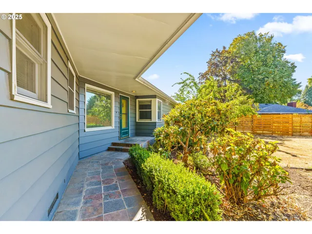 a view of a backyard with potted plants