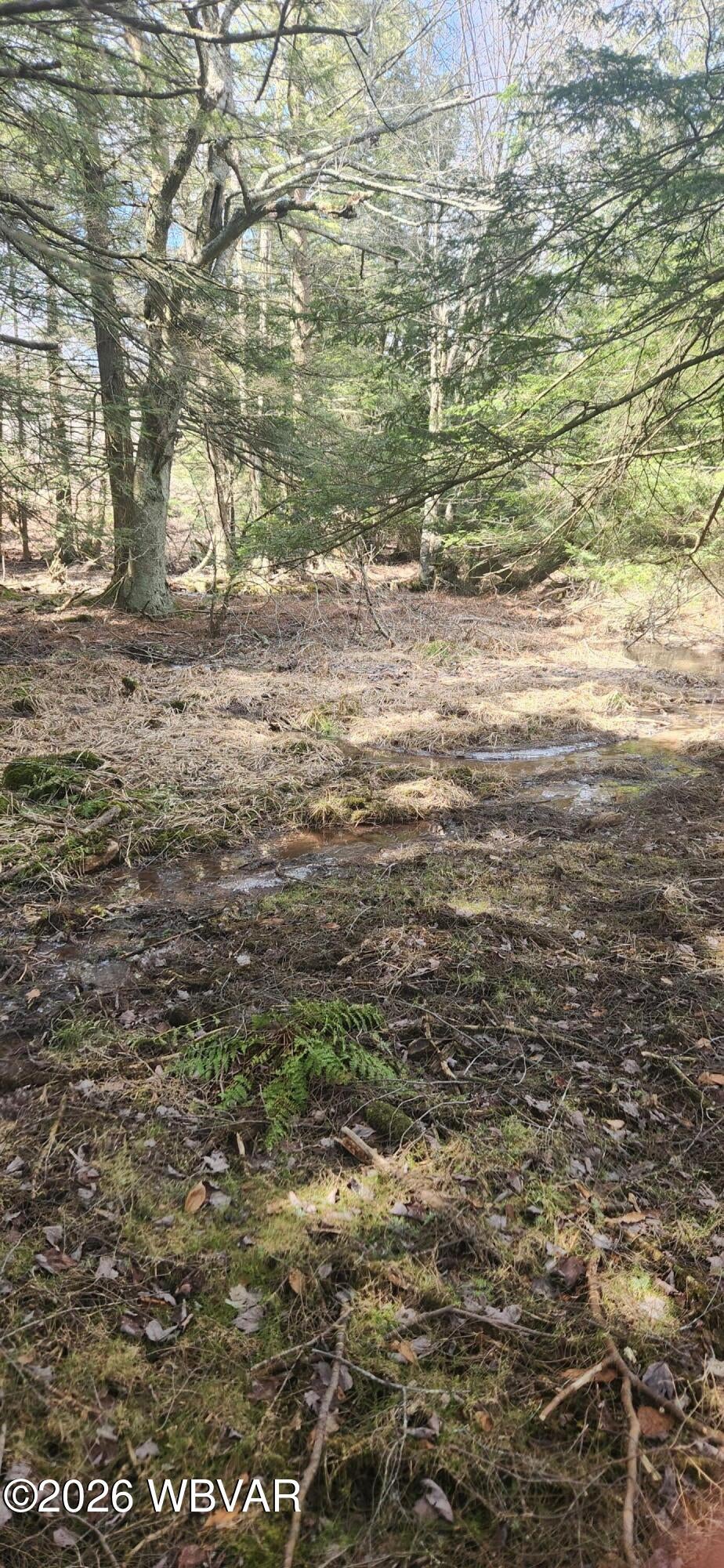 004 Maple Summit Road Shunk, PA 17768 - Photo 5 of 9 Stream