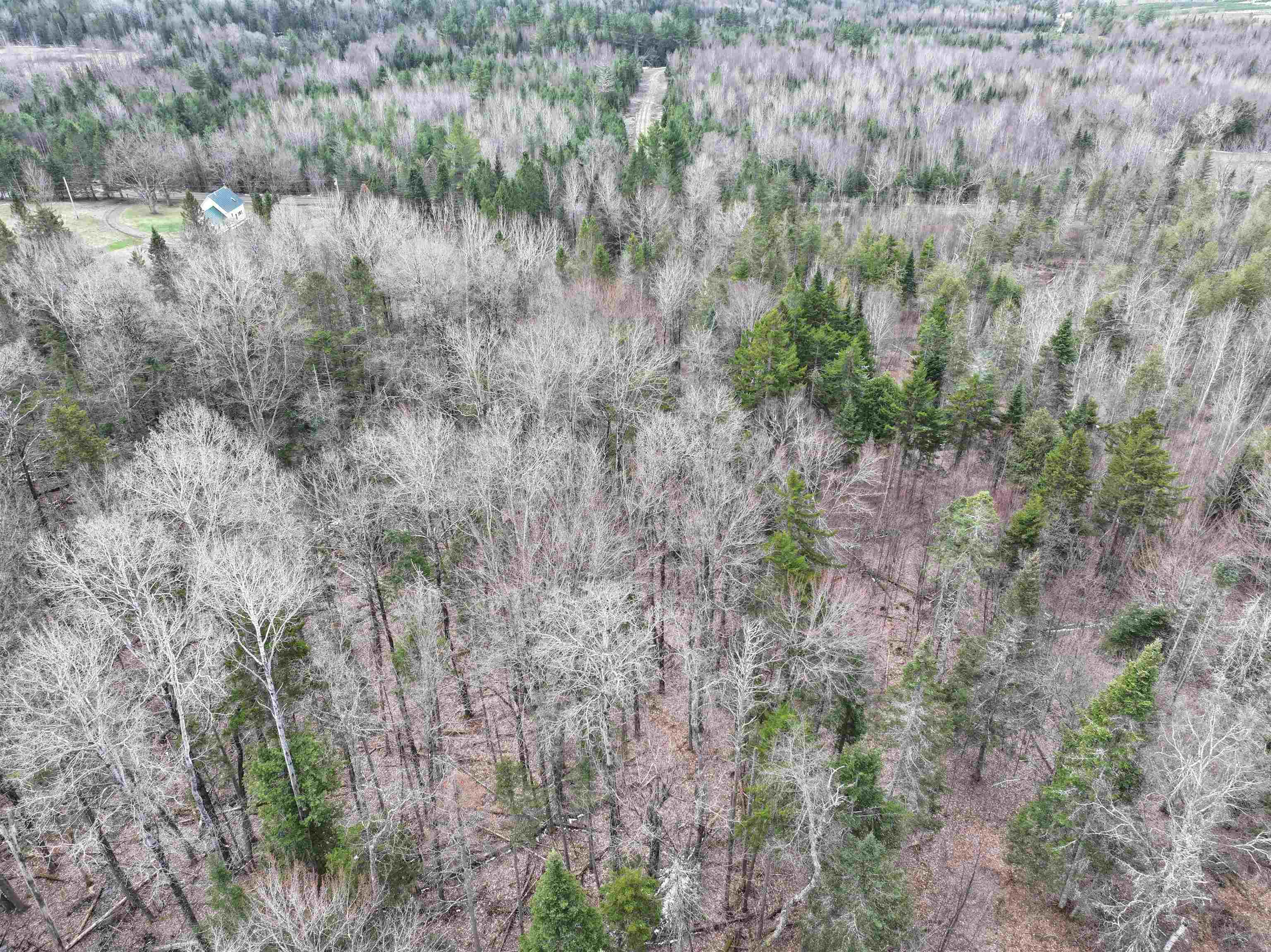 0 Norway Road Greensboro Bend, VT 05842 - Photo 6 of 14