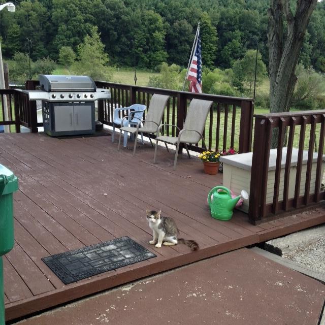 12465 Techniglas Road Newark, OH 43055 - Photo 18 of 18 Gallery Image 18