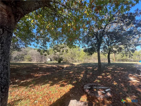 a view of dirt yard with a large tree