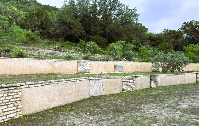 a view of a garden with a bench and trees in the background