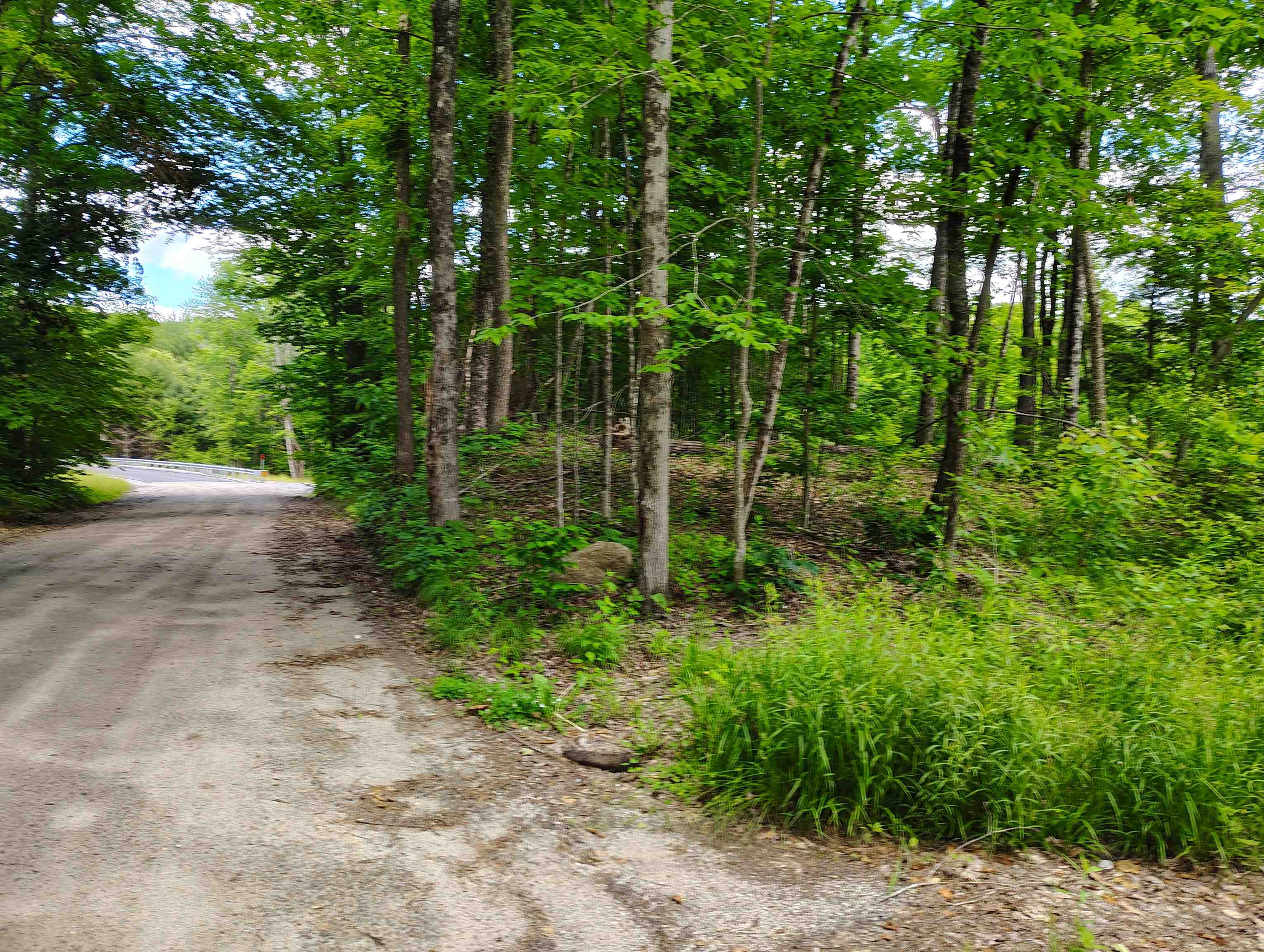 12 Frescoln Road Wentworth, NH 03282 - Photo 2 of 9