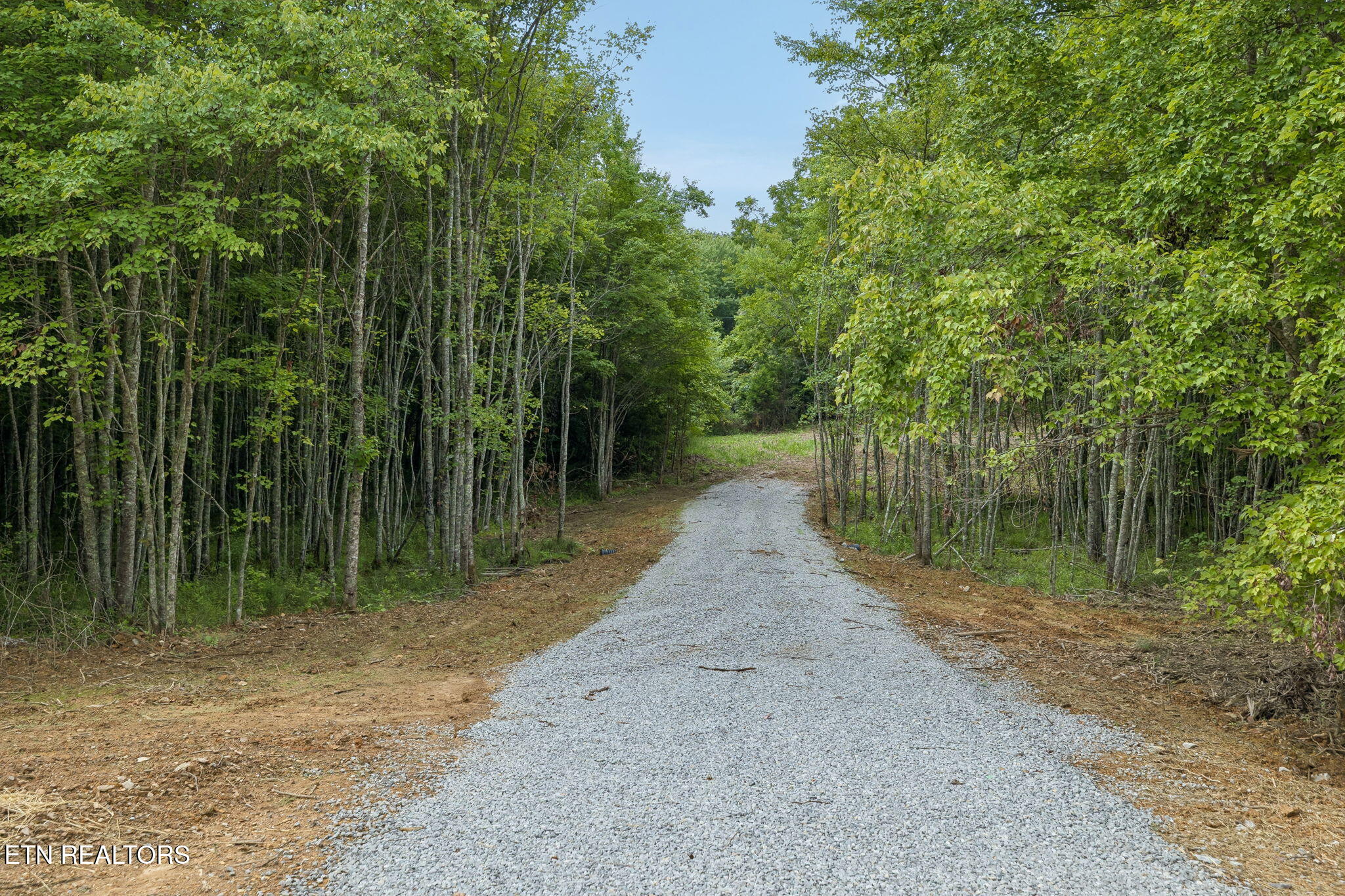 3-1 Sheep Ranch Rd Lot 4 - 003