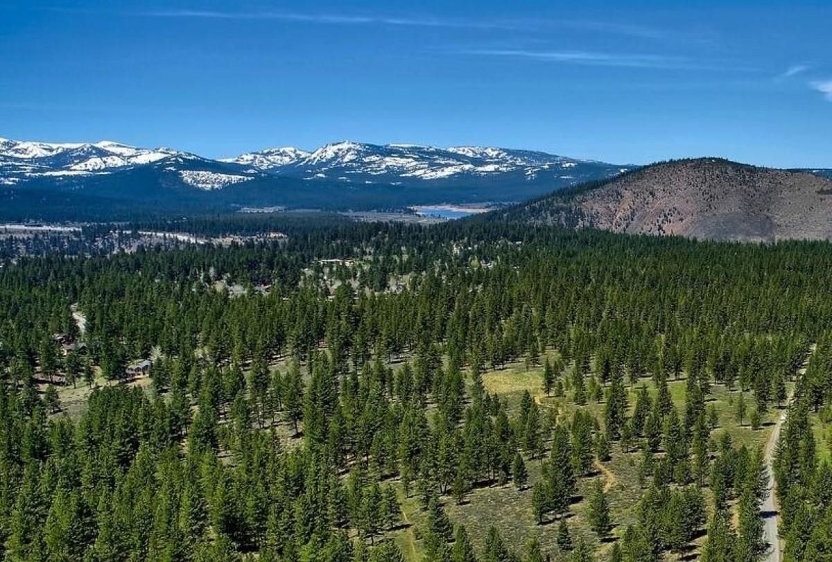 2 Martis Peak Road Truckee, CA 96161 - Photo 4 of 5 a view of a lush green hillside and a houses