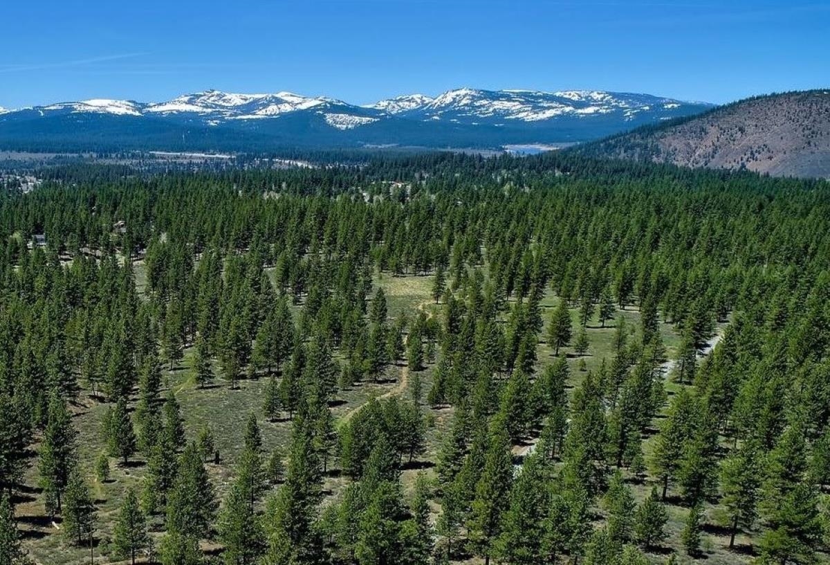 2 Martis Peak Road Truckee, CA 96161 - Photo 5 of 5 a view of a lush green outdoor space with a lake view