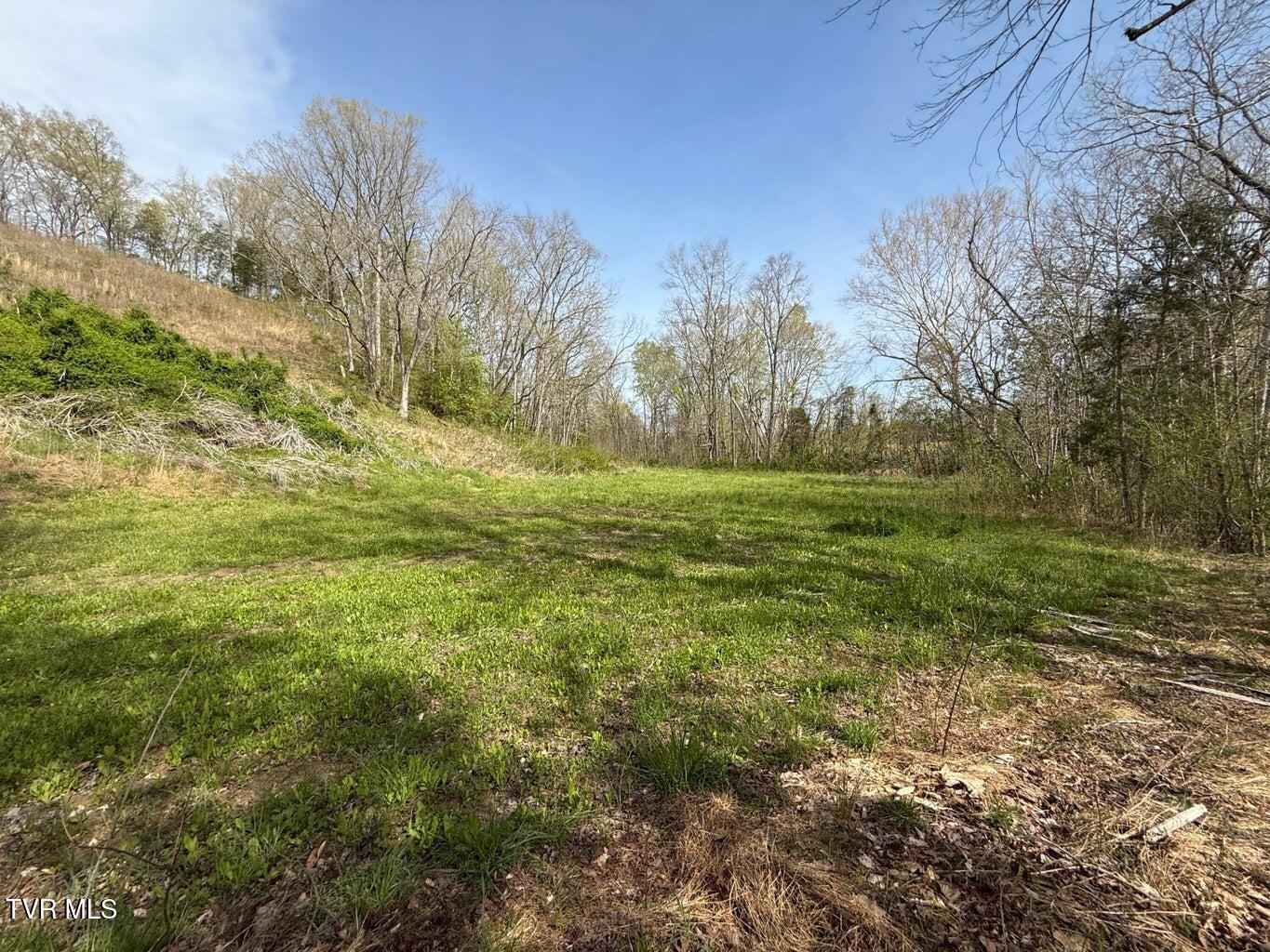 0 Longtown Road Bulls Gap, TN 37711 - Photo 6 of 34 20250417183539347978000000-o