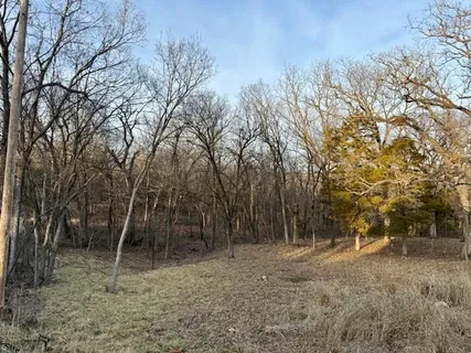 $100,000 | 9207-9231 Chestnut Avenue, Kansas City, MO 64132