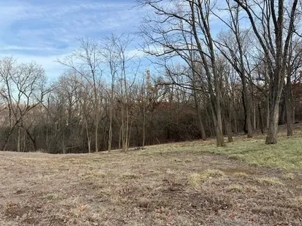 $100,000 | 9207-9231 Chestnut Avenue, Kansas City, MO 64132