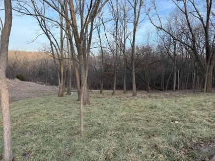 $100,000 | 9207-9231 Chestnut Avenue, Kansas City, MO 64132