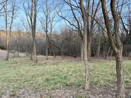 $100,000 | 9207-9231 Chestnut Avenue, Kansas City, MO 64132