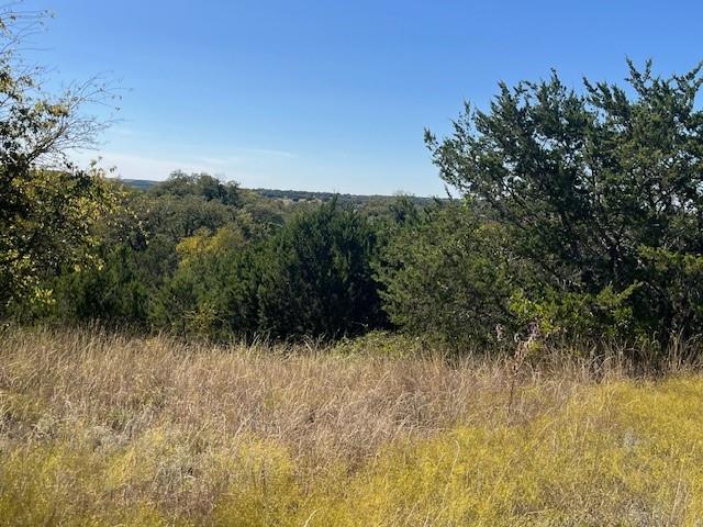 8901 Edwards Road Tolar, TX 76476 - Photo 13 of 24 a view of a yard with a tree