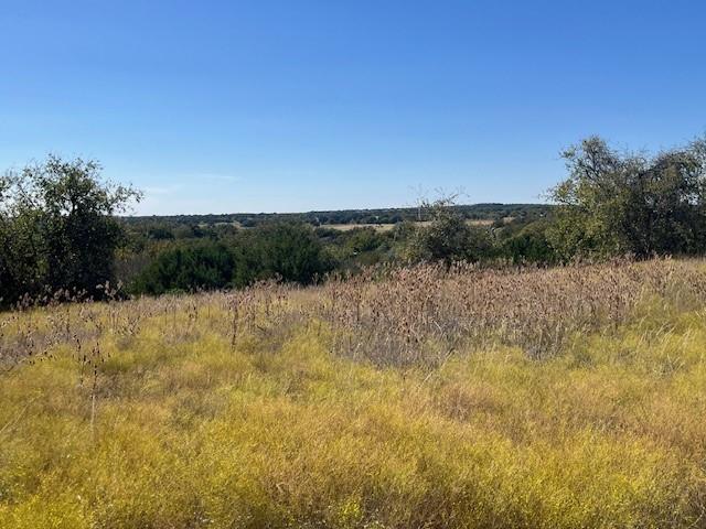 8901 Edwards Road Tolar, TX 76476 - Photo 14 of 24 a view of lake and mountain
