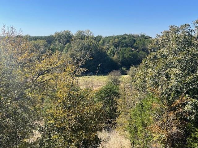 8901 Edwards Road Tolar, TX 76476 - Photo 15 of 24 a view of a yard with a tree