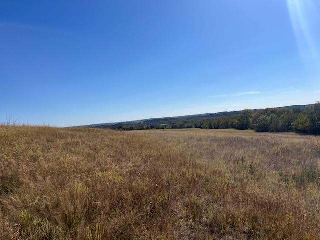8901 Edwards Road Tolar, TX 76476 - Photo 16 of 24 a view of lake and mountain