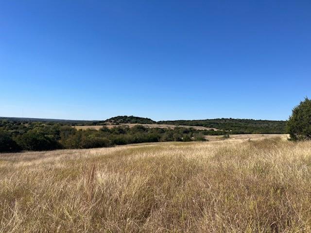 8901 Edwards Road Tolar, TX 76476 - Photo 18 of 24 a view of lake and mountain