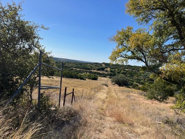 8901 Edwards Road Tolar, TX 76476 - Photo 23 of 24 a view of a yard