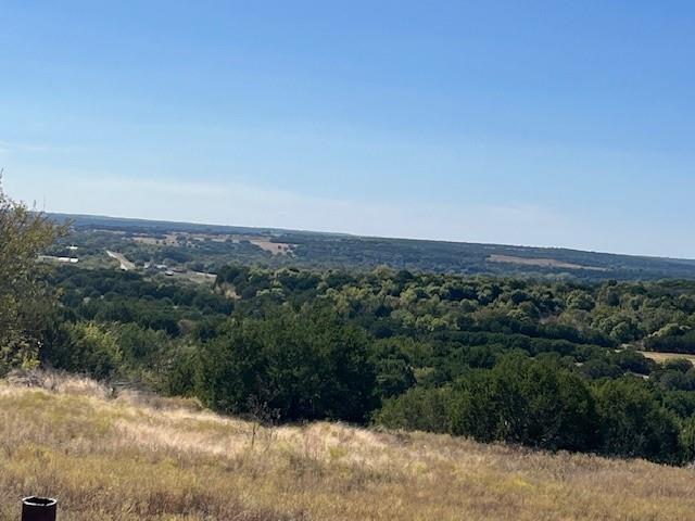 8901 Edwards Road Tolar, TX 76476 - Photo 24 of 24 a view of a dry yard