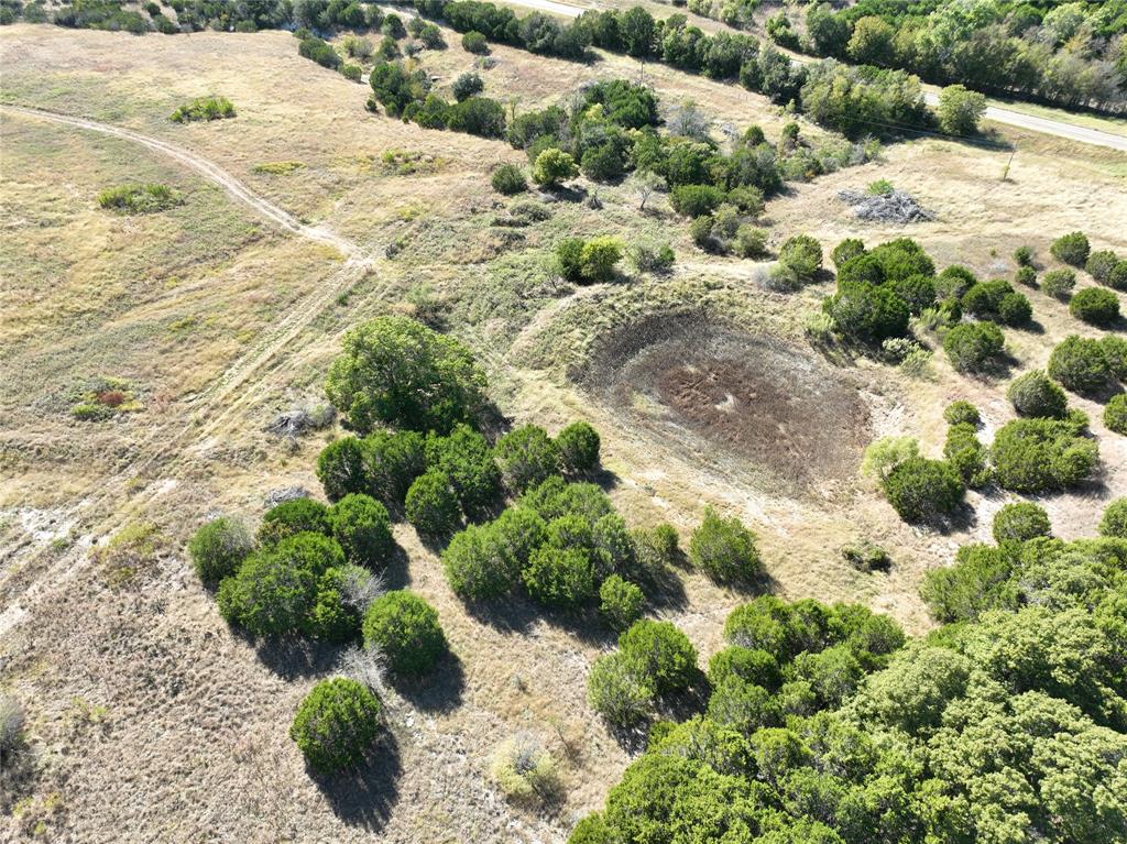 8901 Edwards Road Tolar, TX 76476 - Photo 9 of 24 a view of a garden with a lot of plants and flowers