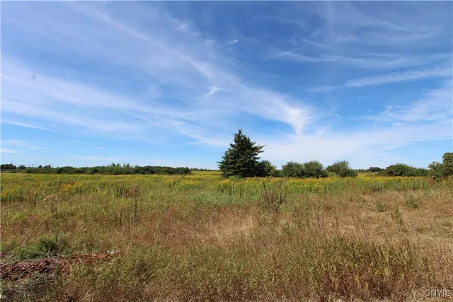 $247,185 | 25049 Highway 342, Pamelia, NY 13637