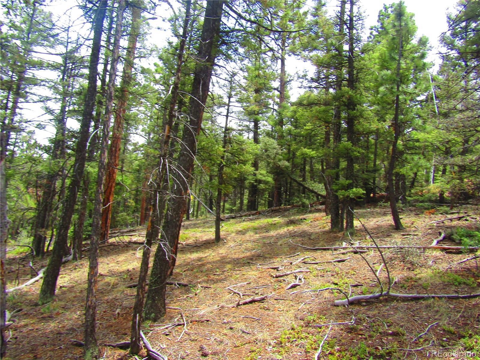 Lot 6028 Spruce Roads San Luis, CO 81152 - Photo 7 of 13