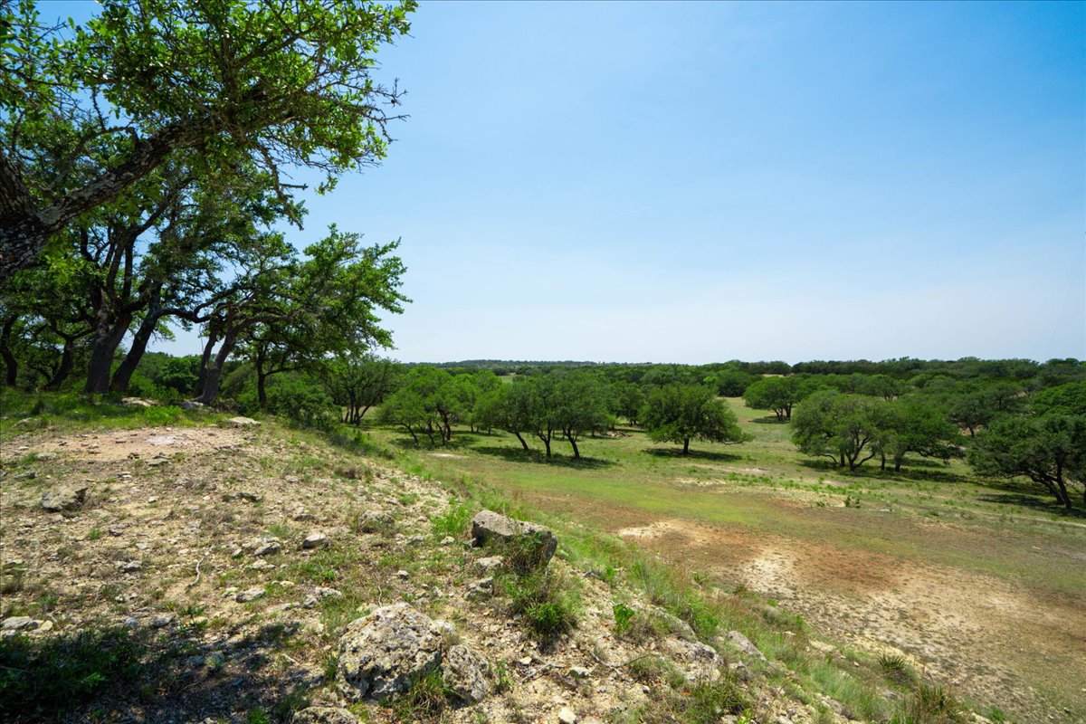 7890 Highway 290 Dripping Springs, TX 78620 - Photo 9 of 33