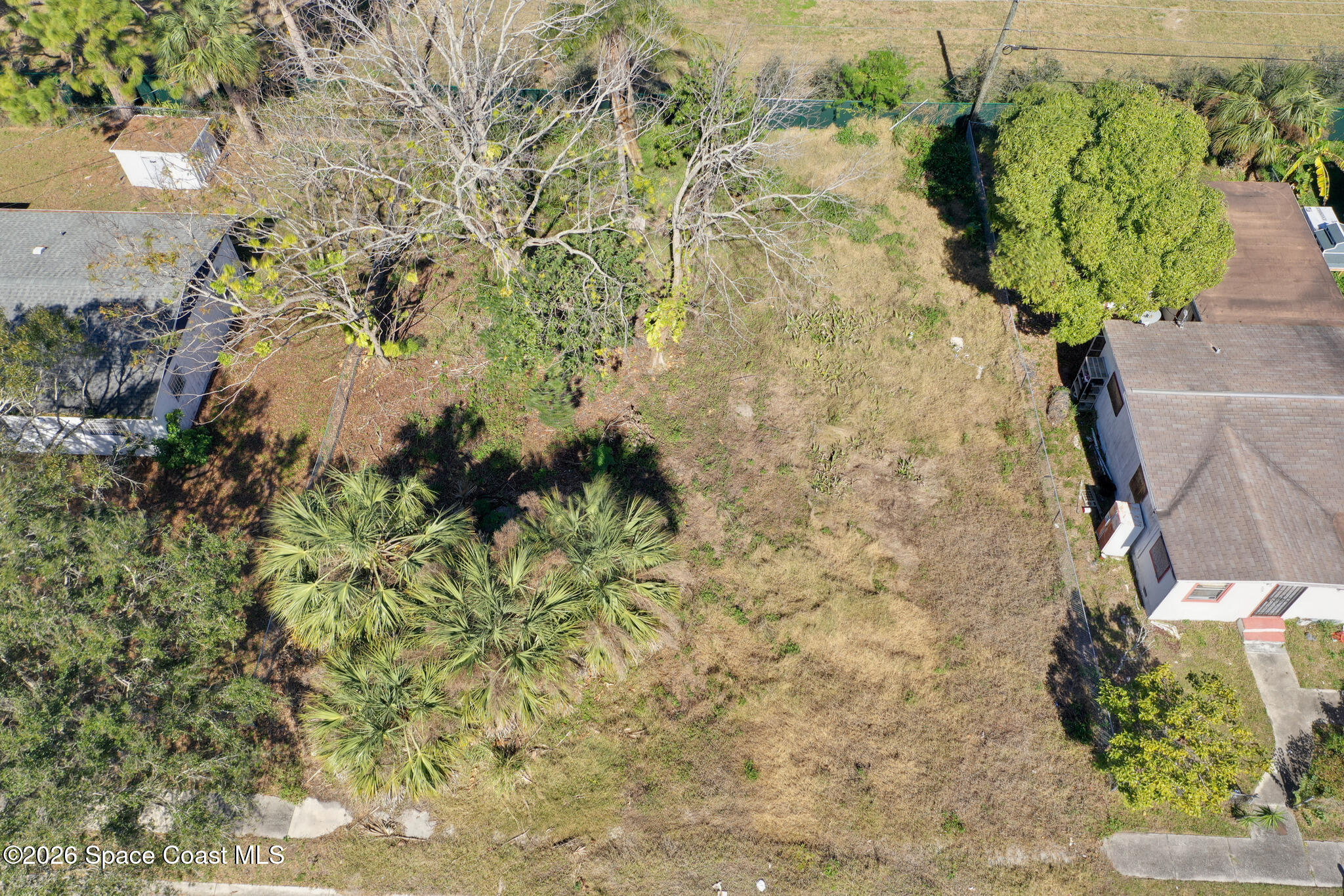 504 Burr Street Melbourne, FL 32901 - Photo 13 of 20 a plant with a plant