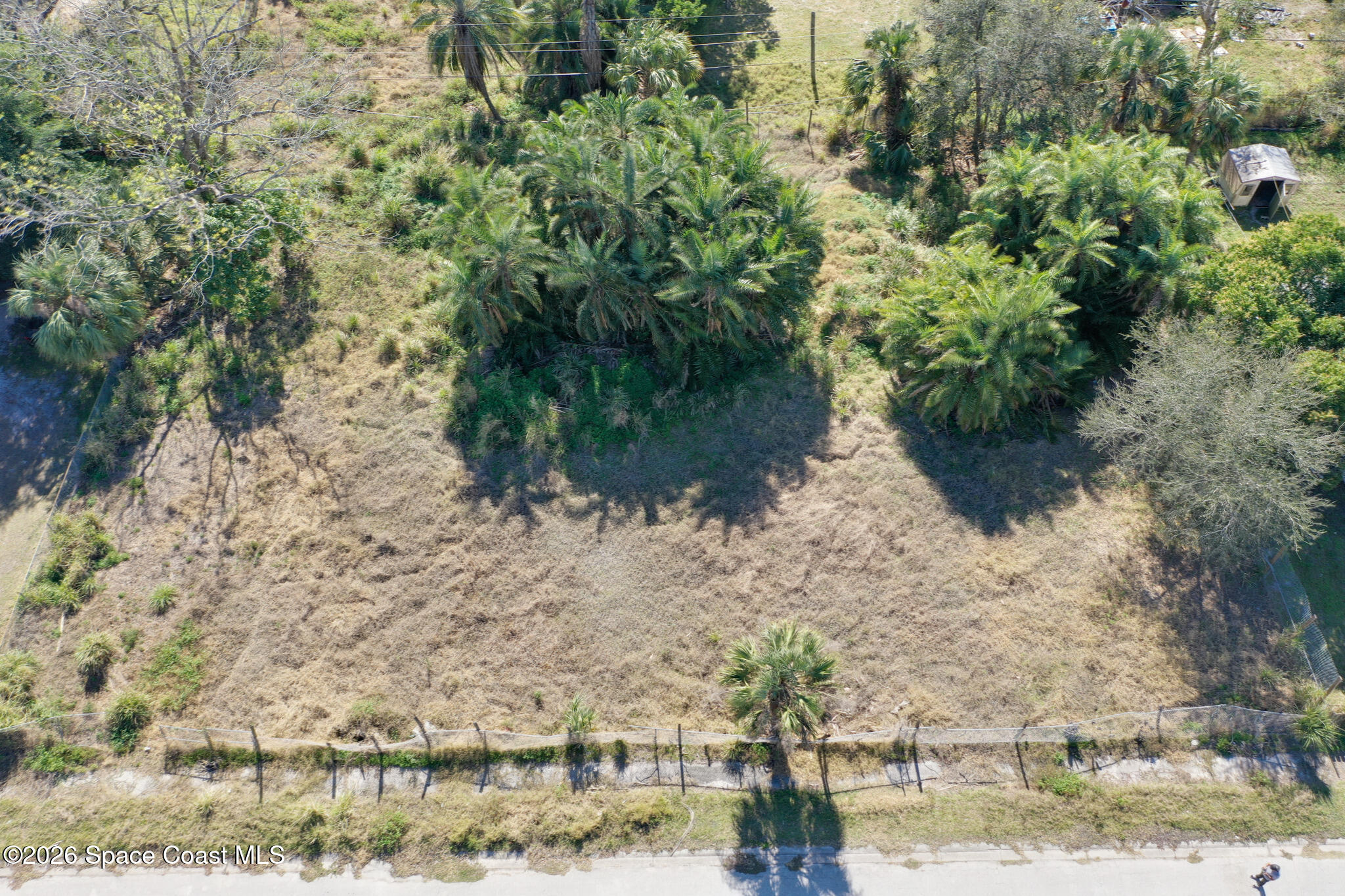 504 Burr Street Melbourne, FL 32901 - Photo 15 of 20 a view of a yard