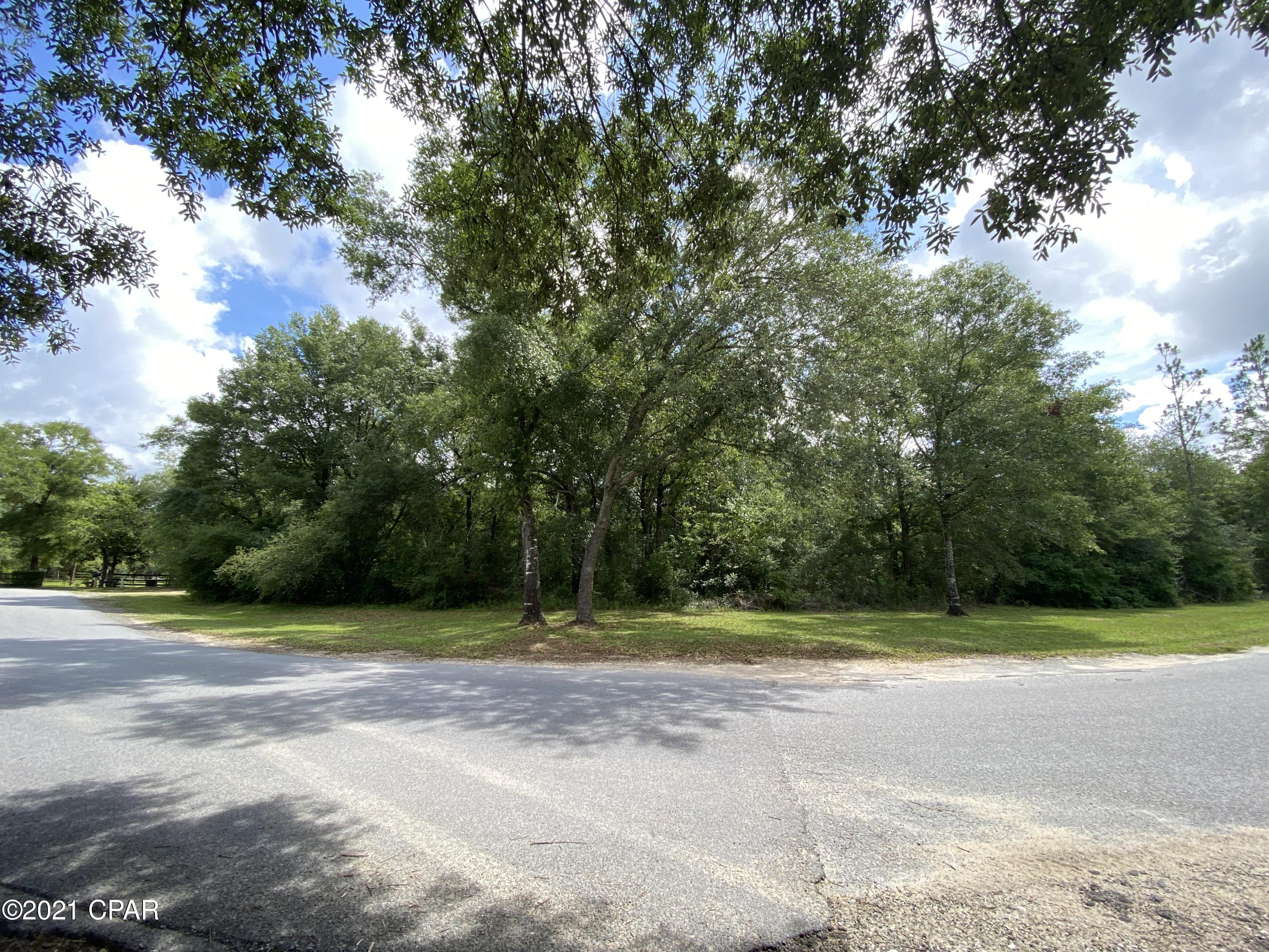0 Grassy Pond Road, Unit GREENHEAD) Chipley, FL 32428 - Photo 21 of 22 Gallery Image 21