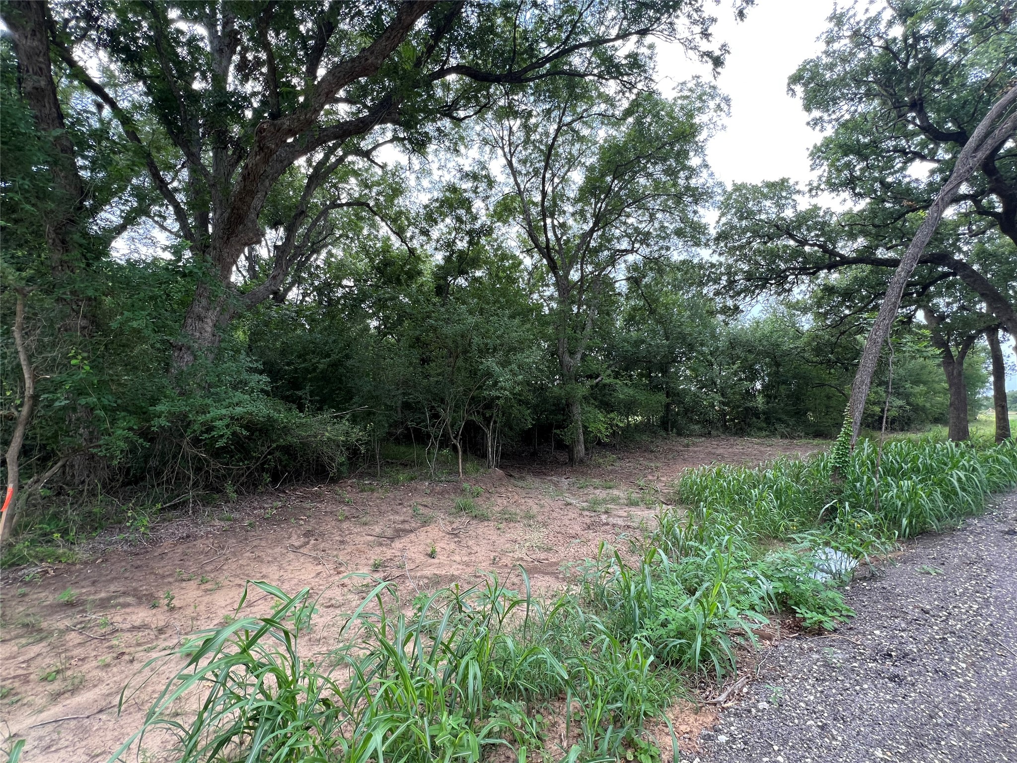 3000 Tract 2 Elgin, TX 78621 - Photo 9 of 17 View of Lot from road