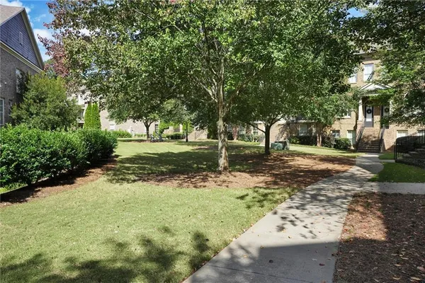a view of a yard with plants