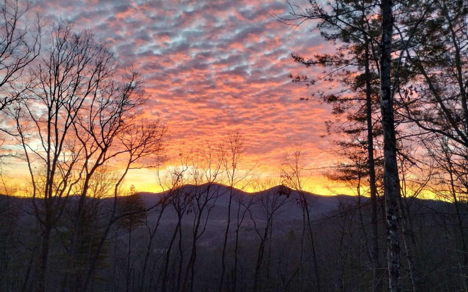 Lot10 Lot10 Native Trail Blue Ridge, GA 30513 - Photo 3 of 57 Additional View