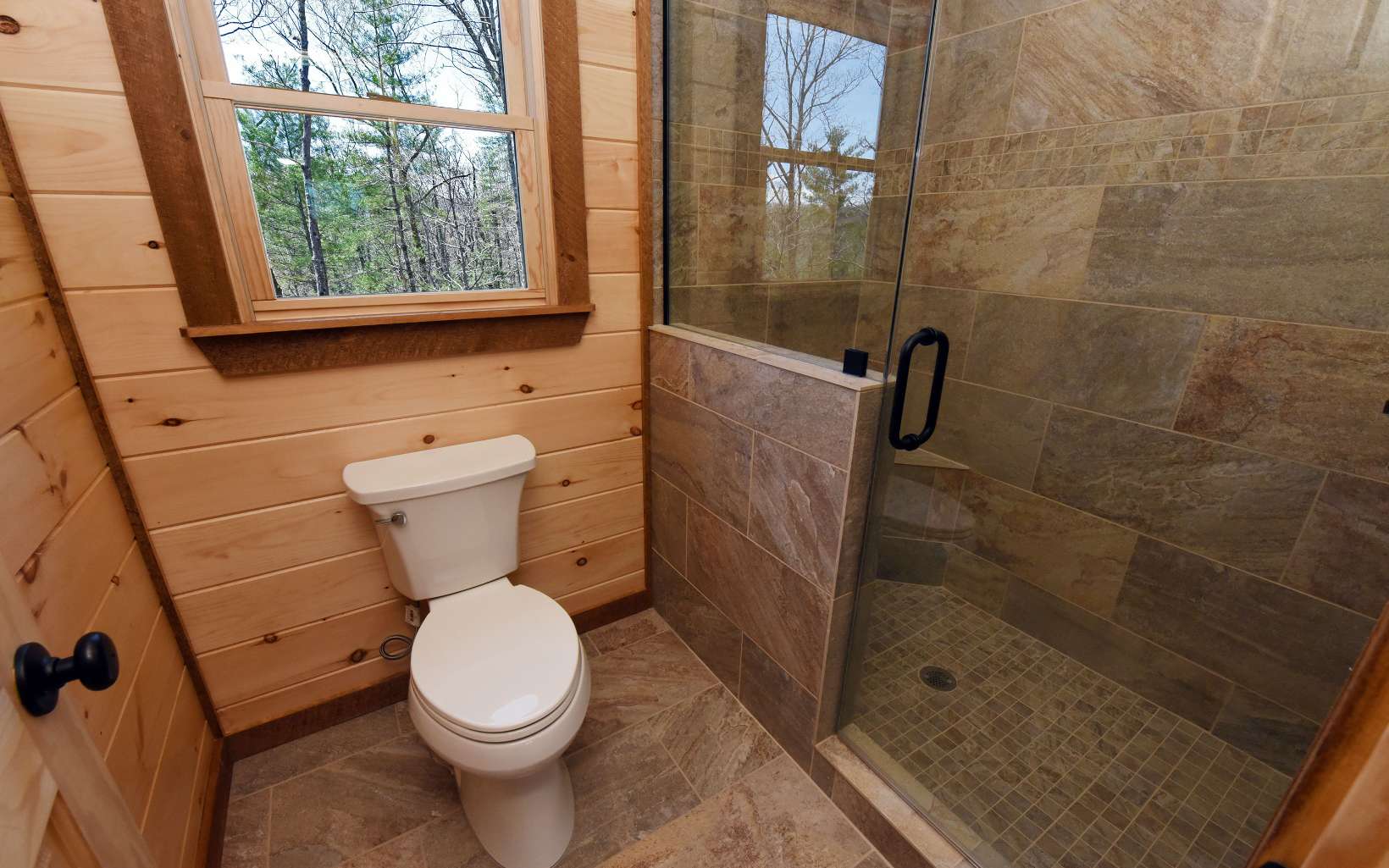 Lot10 Lot10 Native Trail Blue Ridge, GA 30513 - Photo 41 of 57 Additional View