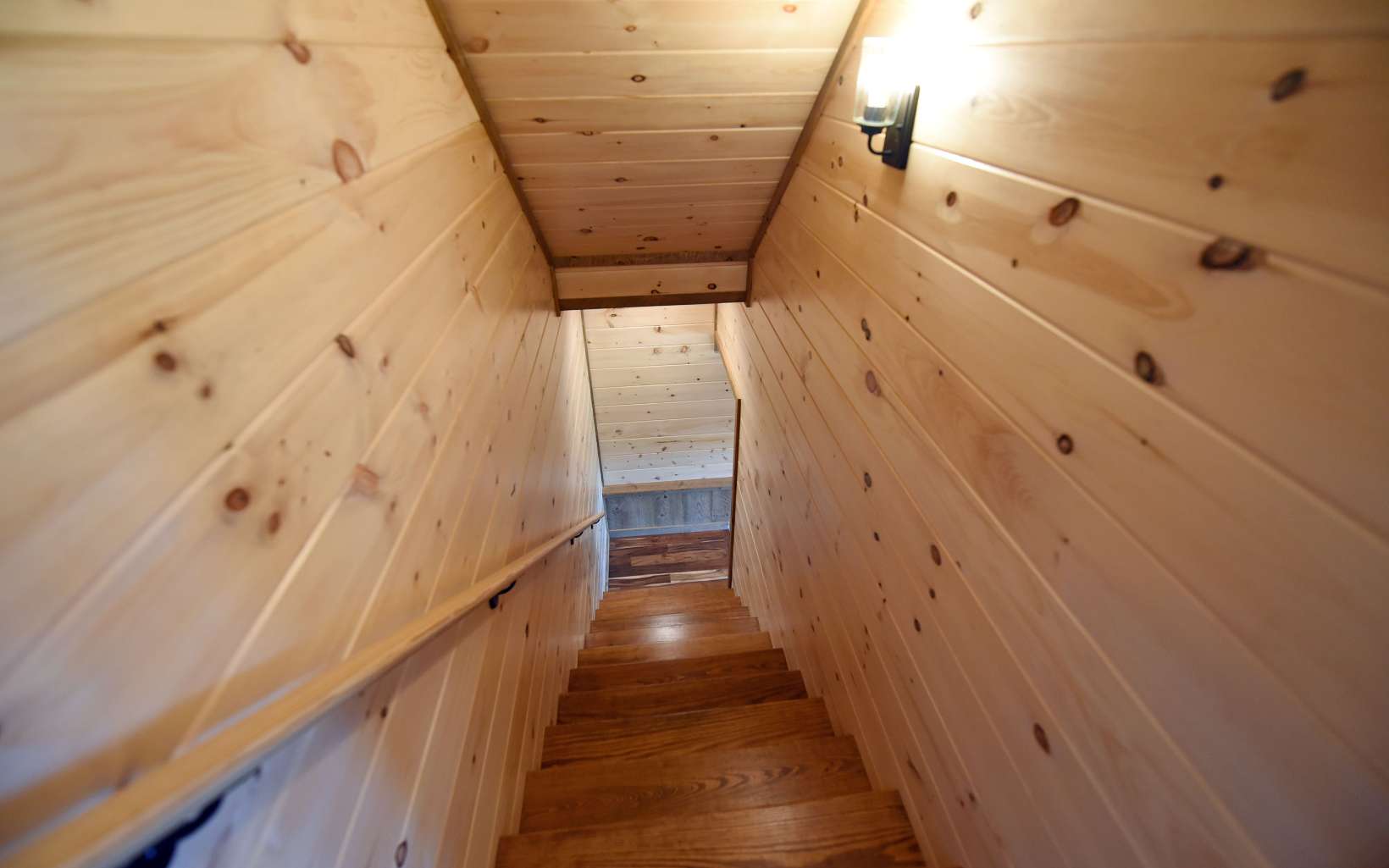 Lot10 Lot10 Native Trail Blue Ridge, GA 30513 - Photo 45 of 57 Additional View