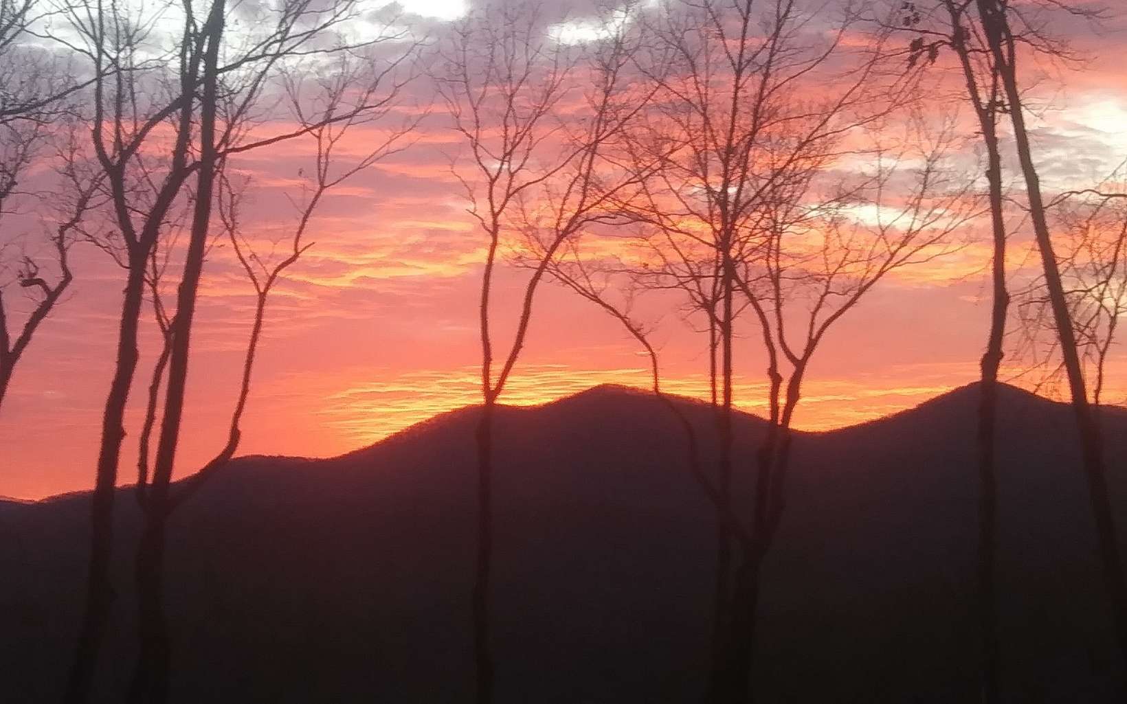 Lot10 Lot10 Native Trail Blue Ridge, GA 30513 - Photo 57 of 57 Additional View