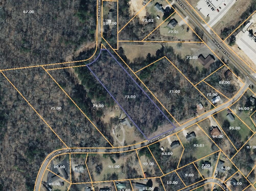 Burnett Mills Road Bolivar, TN 38008 - Photo 6 of 6
