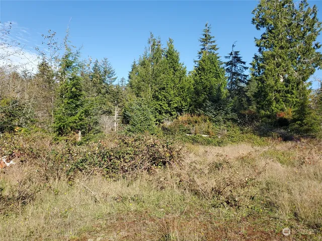 $289,000 | 36602 Stackpole Road, Oysterville, WA 98641