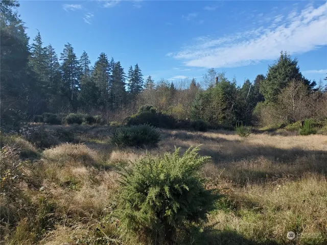 $289,000 | 36602 Stackpole Road, Oysterville, WA 98641