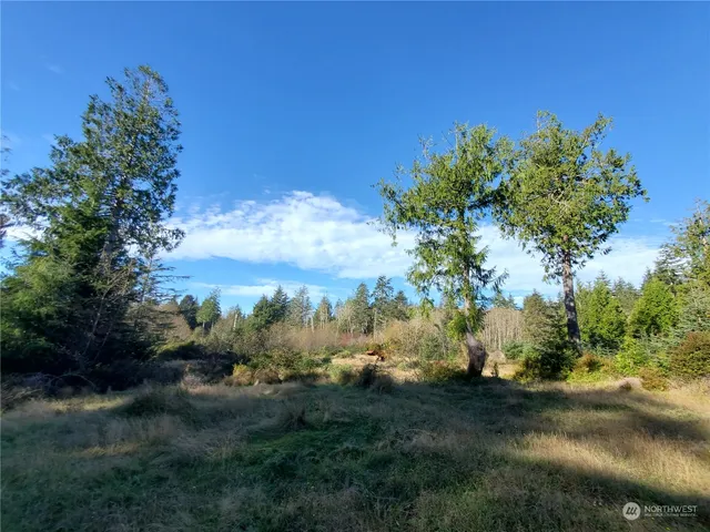 $289,000 | 36602 Stackpole Road, Oysterville, WA 98641