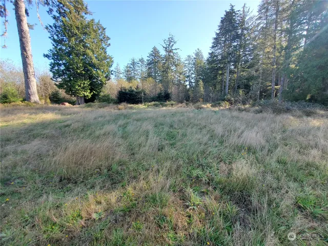 $289,000 | 36602 Stackpole Road, Oysterville, WA 98641