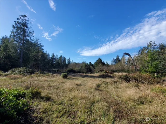 $289,000 | 36602 Stackpole Road, Oysterville, WA 98641