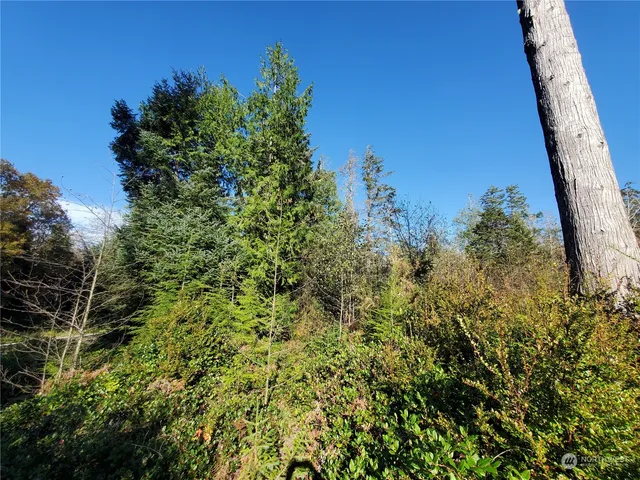 $289,000 | 36602 Stackpole Road, Oysterville, WA 98641