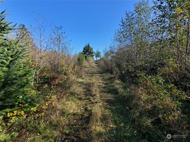 $289,000 | 36602 Stackpole Road, Oysterville, WA 98641