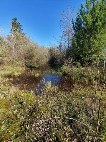 $289,000 | 36602 Stackpole Road, Oysterville, WA 98641