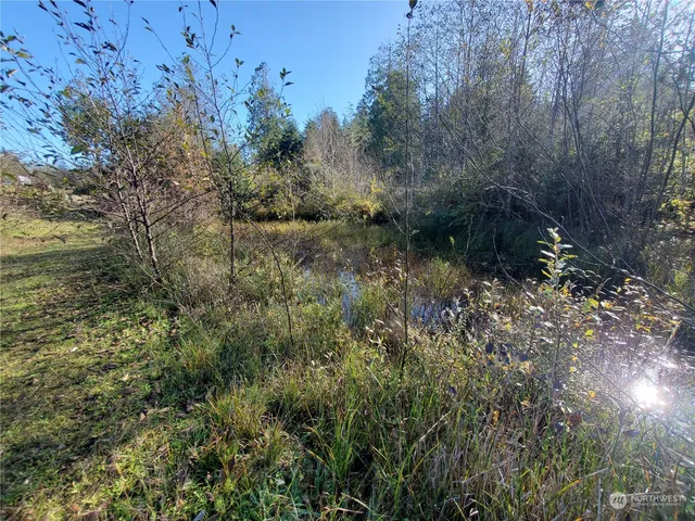 $289,000 | 36602 Stackpole Road, Oysterville, WA 98641